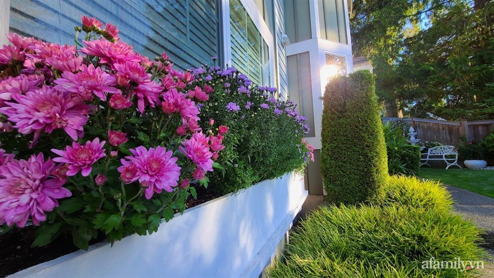 Khu vườn đẹp trọn bốn mùa với từng góc nhỏ tĩnh lặng như mây của mẹ Việt lấy chồng Mỹ-28