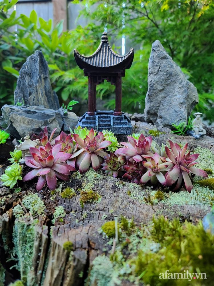 Khu vườn đẹp trọn bốn mùa với từng góc nhỏ tĩnh lặng như mây của mẹ Việt lấy chồng Mỹ-29