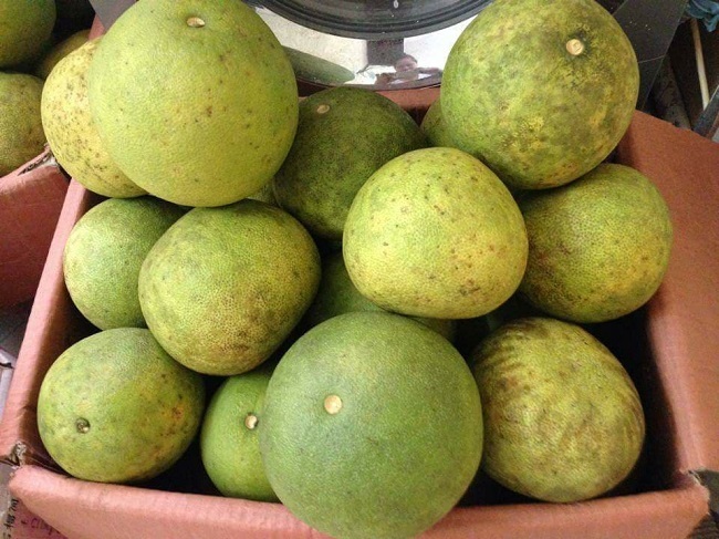 Thực hư đặc sản bưởi Đoan Hùng chỉ 2.000 đồng/quả rao bán đầy chợ-1