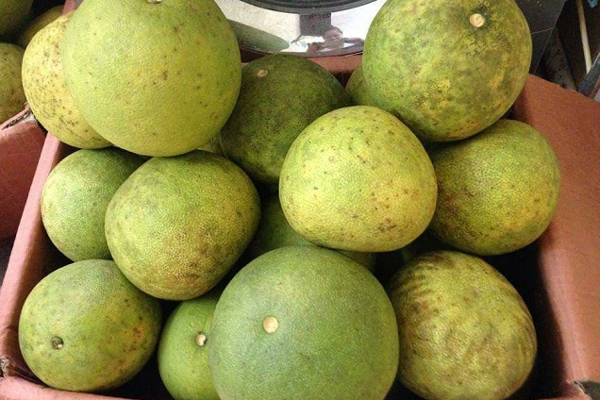 Thực hư bưởi Diễn được rao bán rầm rộ với giá 5.000 đồng/quả-5