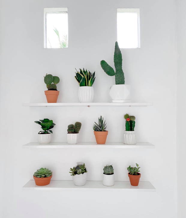 Cô gái 25 tuổi tiết kiệm tiền xây nhà khang trang cho bố mẹ, khéo chi lắm nên chỉ hết 600 triệu-5