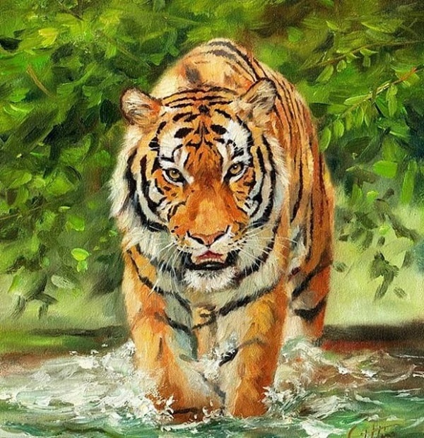 21 ngày nữa, những con giáp được thần tài chiếu cố, làm gì cũng may mắn bội phần-3