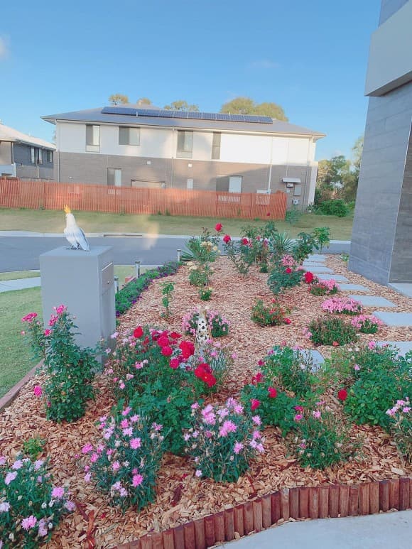 Ngoài chăm con, Bảo Duy - chồng cũ Phi Thanh Vân còn tự trồng được vườn rau xanh mướt ở Úc-13