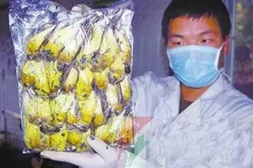 Thần dược chốn phòng the - cái mác mà con người gắn lên động vật để truy cùng diệt tận từ cá, chim đến sư tử và tiếp theo là loài nào?-6