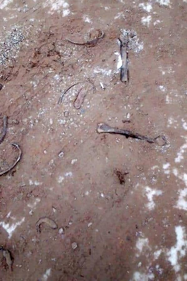 Kinh hoàng hộp sọ và xương người được tìm thấy rải rác trên con đường ở Nga, dân địa phương đồn đoán nguyên do bất ngờ-2
