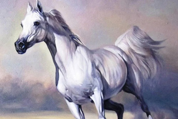 Nữ nhân sinh tháng âm lịch này, trời sinh đức cao vọng trọng, lời nói có sức ảnh hưởng đặc biệt, tháng 11 âm lịch tới phát tài thăng hoa-4