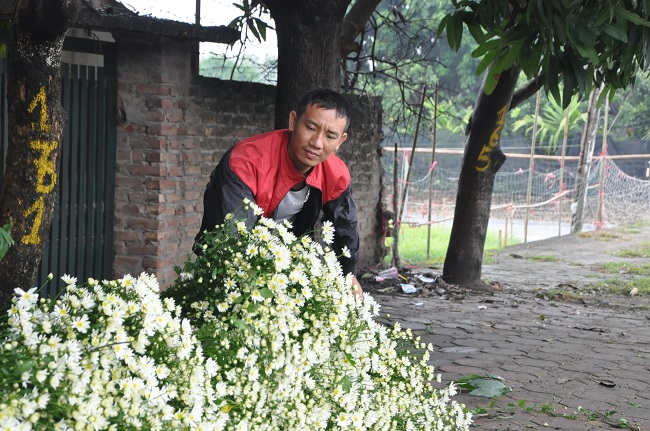 Loài từng là hoa dại ven đường thành đặc sản Hà Nội, nông dân cắt không kịp bán-8