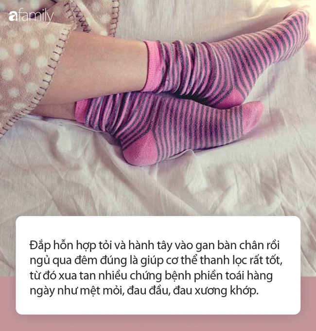 Đắp tỏi vào lòng bàn chân rồi đi ngủ, kết quả nhận được ngay sáng hôm sau sẽ khiến bạn tròn xoe mắt-2