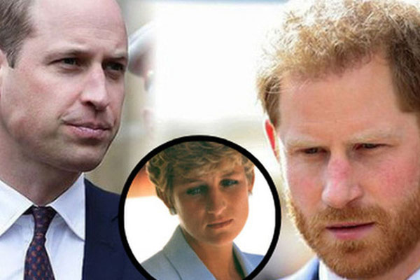 Hoàng tử Harry lên tiếng bảo vệ vợ trong khi Meghan Markle bị tố nói dối trắng trợn liên quan đến vụ kiện dai dẳng với bố ruột-3