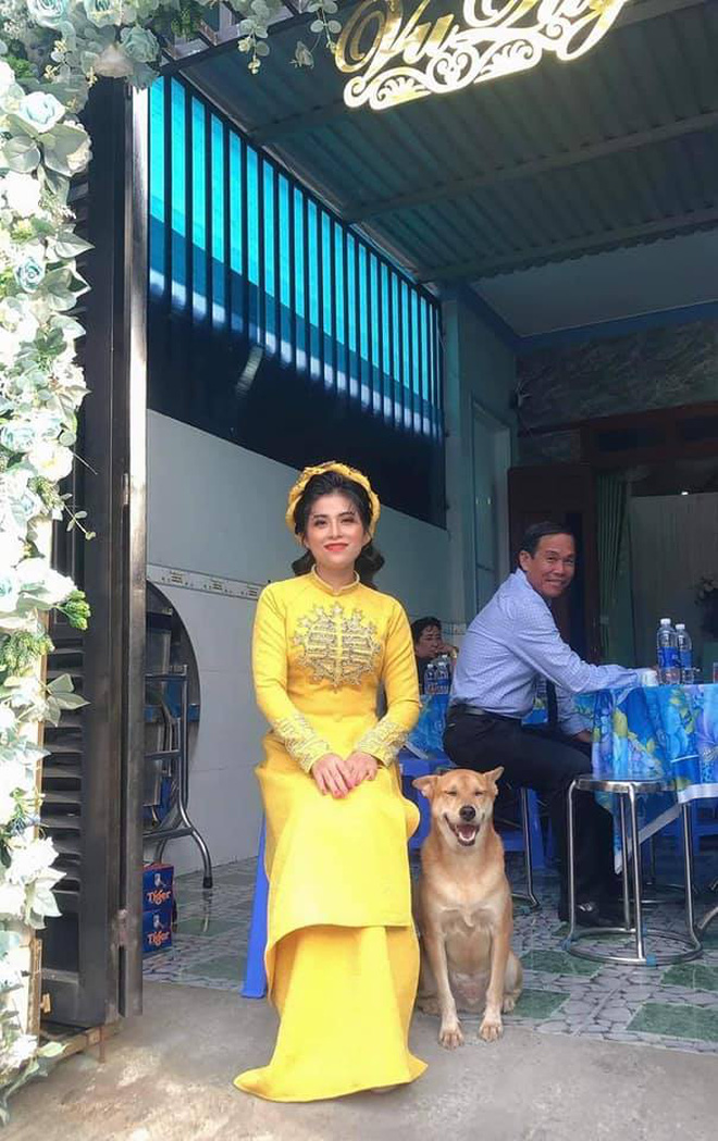 Đám cưới rộn ràng khắp MXH nhờ sự xuất hiện của... một chú chó, biểu cảm vui như Tết khiến ai cũng phải bật cười-1