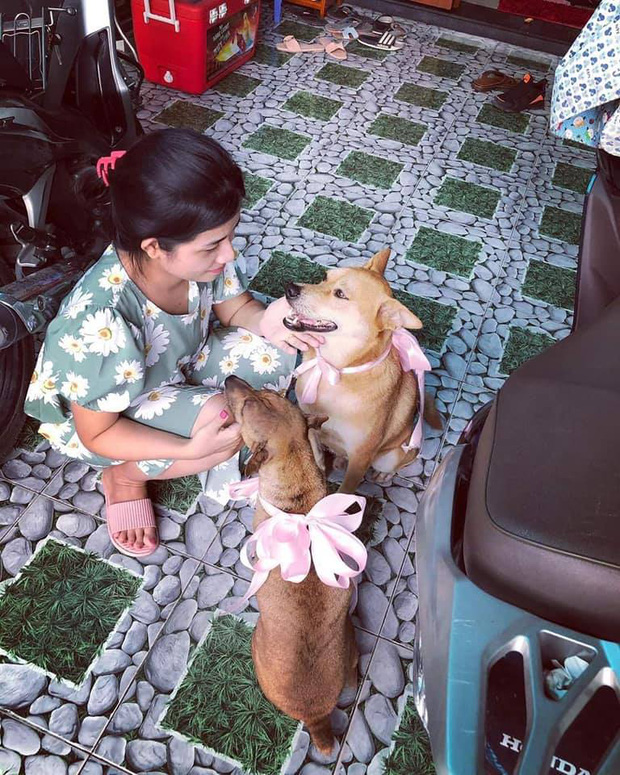 Đám cưới rộn ràng khắp MXH nhờ sự xuất hiện của... một chú chó, biểu cảm vui như Tết khiến ai cũng phải bật cười-4