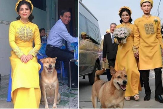 Đám cưới rộn ràng khắp MXH nhờ sự xuất hiện của... một chú chó, biểu cảm vui như Tết khiến ai cũng phải bật cười
