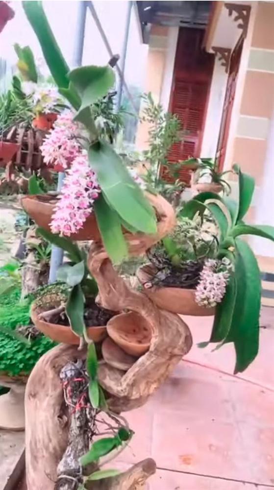 Tân Hoa hậu Việt Nam Đỗ Thị Hà khoe góc vườn rộng rãi của bố, nhìn sương sương cũng đủ biết điều kiện gia đình-1