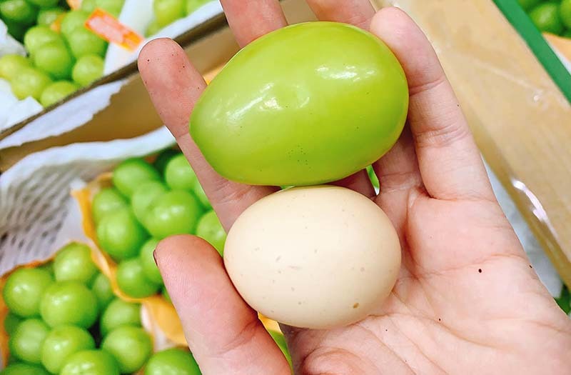 Loại nho to hơn trứng gà: Giá 7 triệu/chùm, có tiền khó mua-1