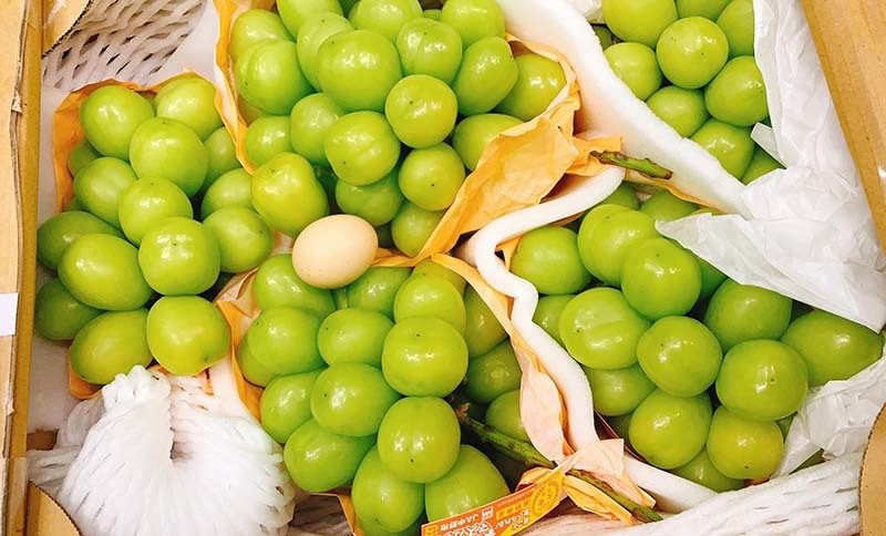 Loại nho to hơn trứng gà: Giá 7 triệu/chùm, có tiền khó mua-2