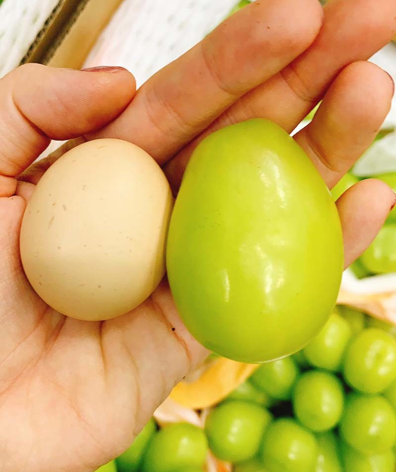 Loại nho to hơn trứng gà: Giá 7 triệu/chùm, có tiền khó mua-4