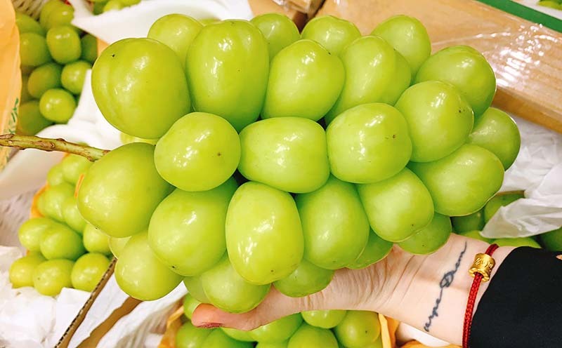 Loại nho to hơn trứng gà: Giá 7 triệu/chùm, có tiền khó mua-5