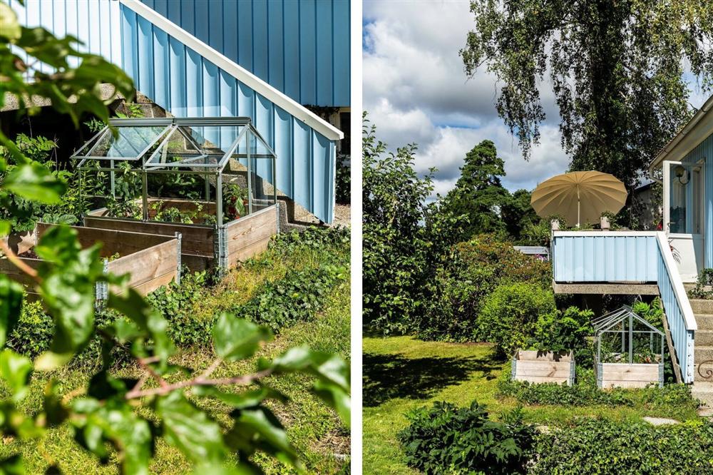 Căn nhà cấp 4 màu xanh da trời nhìn ngoài thì bình thường mà bên trong khiến ai cũng sững sờ-5