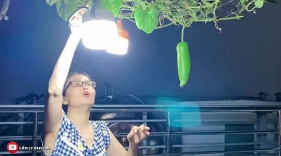 Khu vườn rau quả sạch trên sân thượng biệt thự của Cẩm Ly-5