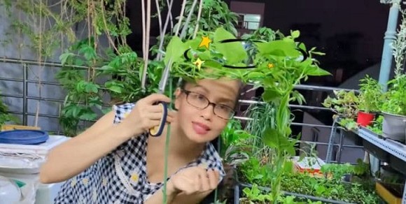 Khu vườn rau quả sạch trên sân thượng biệt thự của Cẩm Ly-6