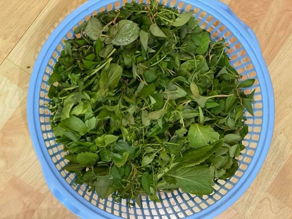 Khu vườn rau quả sạch trên sân thượng biệt thự của Cẩm Ly-11