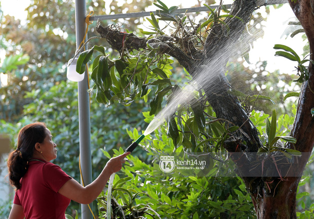 Cận cảnh phòng riêng và loạt bằng khen của Hoa hậu Việt Nam Đỗ Thị Hà trong cơ ngơi rộng hàng trăm m2 ở Thanh Hoá-14