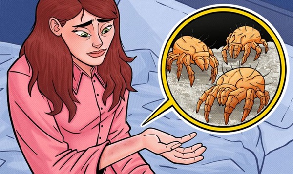 Tại sao chúng ta không nên mặc cùng một bộ đồ ngủ trong 2 ngày liên tiếp?-4