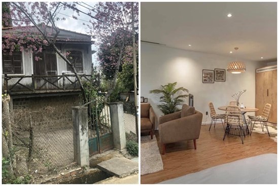Chỉ vì thích 1 cây anh đào trước cổng ở Đà Lạt, chàng trai mua luôn cả căn nhà cũ và cải tạo thành nơi cực đáng sống