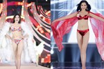 Tân Hoa hậu Việt Nam Đỗ Thị Hà bị fan BLACKPINK tổng tấn công, body shaming chỉ vì động thái nhỏ-5