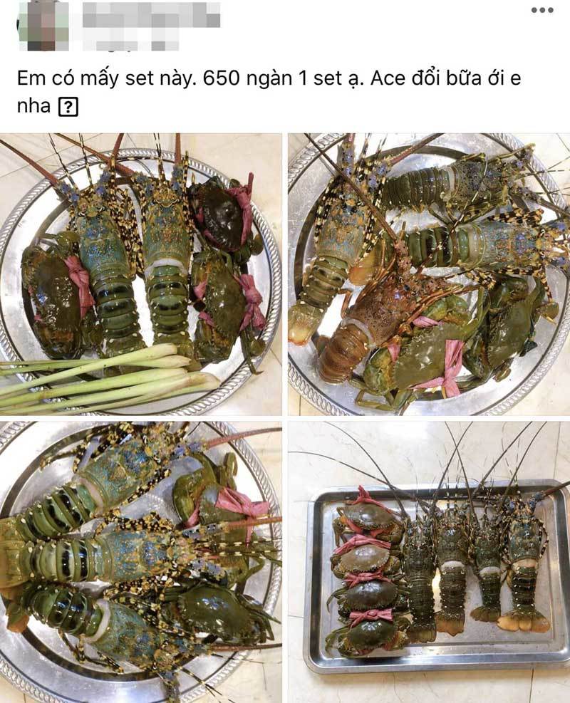 Hải sản rẻ chưa từng có, 500 nghìn mua cả mâm về ăn-1