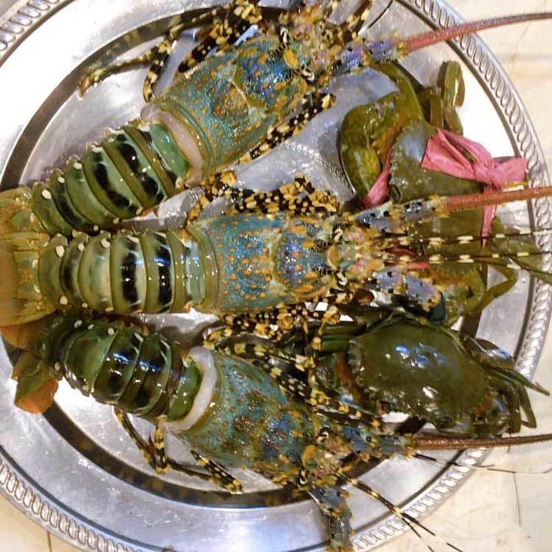 Hải sản rẻ chưa từng có, 500 nghìn mua cả mâm về ăn-3