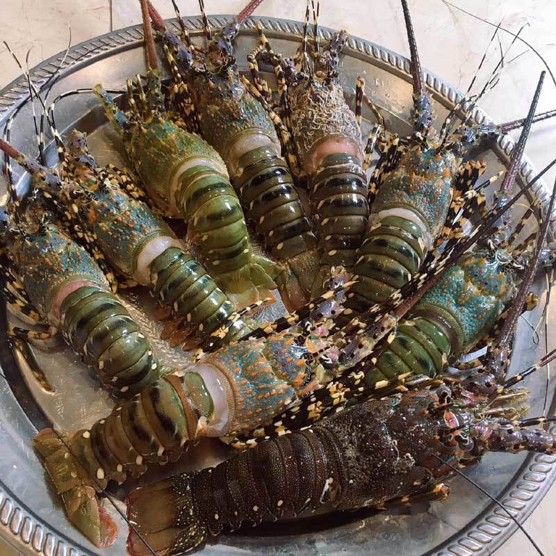 Hải sản rẻ chưa từng có, 500 nghìn mua cả mâm về ăn-4