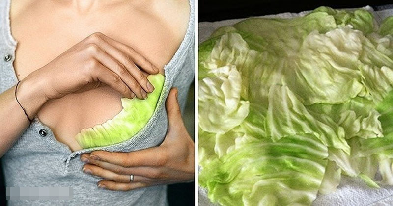 Tắc tia sữa luôn là cơn ác mộng đối với những người mẹ sau sinh, làm cách nào để vượt qua cực hình này?-6