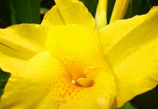 Trong 10 ngày đầu tháng 12, 3 con giáp bất ngờ đổi vận, giàu có phát tài, đếm tiền mỏi tay-1