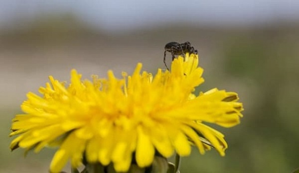 Trong 10 ngày đầu tháng 12, 3 con giáp bất ngờ đổi vận, giàu có phát tài, đếm tiền mỏi tay-2