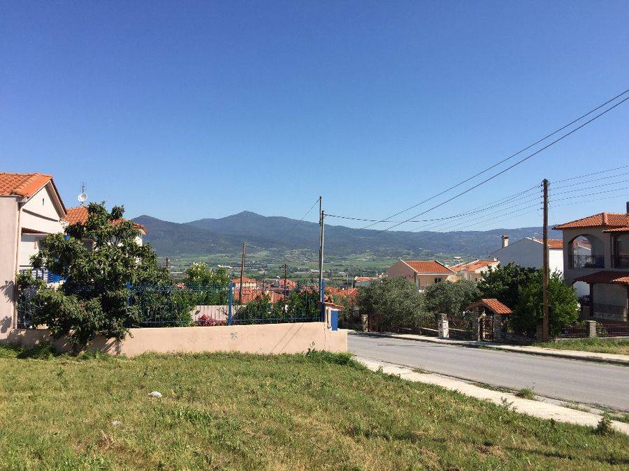 Vợ chồng trẻ làm nhà vườn, sở hữu xế hộp nhờ quyết định sáng suốt bỏ phố mua đất ngoại ô 2 tỷ-1