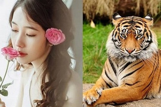 Năm 2021, 3 con giáp nữ sẽ vô cùng giàu có và gặp nhiều may mắn, được dự đoán sẽ trở thành đại gia