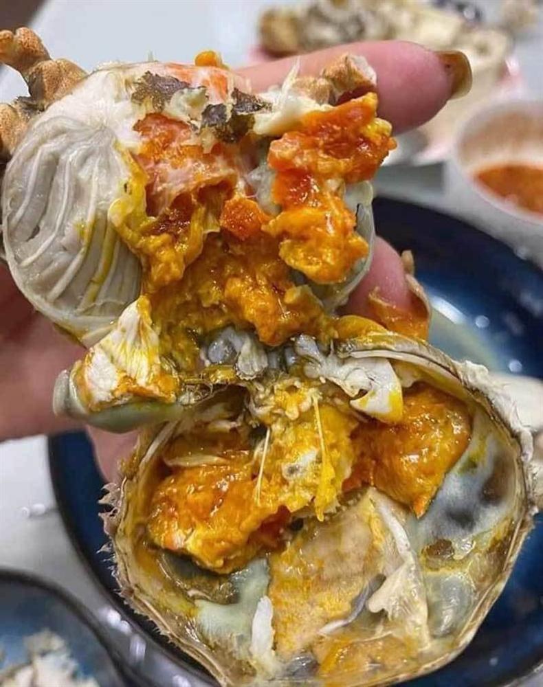 Năm chỉ có một lần, dân giàu đổ về sông Cầu săn đặc sản trời cho-5