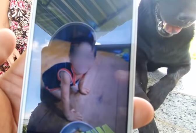 Cảm thương chú chó trung thành nằm canh mộ chủ suốt 3 năm ở Long An, mạnh thường quân góp tiền xây mái che cho mộ để chú chó có chỗ trú nắng, trú mưa-2