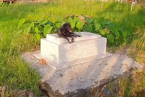 Cận Tết sơ ý làm mất xe của khách, bác bảo vệ già bật khóc xúc động khi được nhiều người xa lạ giúp đỡ-5