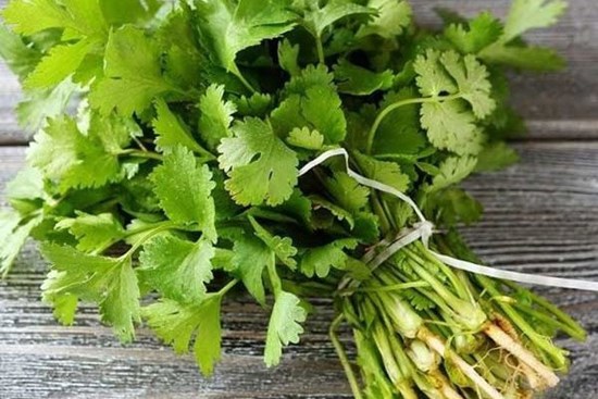 Mua nhiều rau mùi, đừng cho ngay vào tủ lạnh, thêm vài bước nữa để nửa năm vẫn xanh tươi