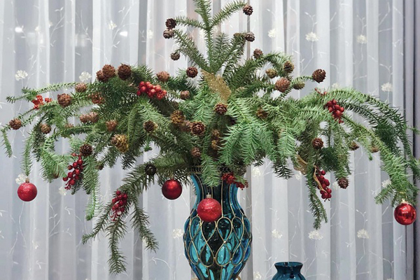 Cành thông tươi bán theo cân, dân Hà thành tới tấp đặt mua-3