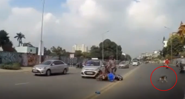 Clip: Xe máy nằm ngửa bụng sau va chạm với taxi, người đàn ông cuống cuồng chạy theo chó cưng để bạn gái nằm dưới đường gây xôn xao-2