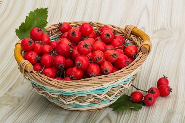 Bảo vệ sức khỏe vào mùa đông chỉ cần ăn nhiều 1 rau, 2 việc đúng giờ, tránh 3 quả và làm 4 điều-3