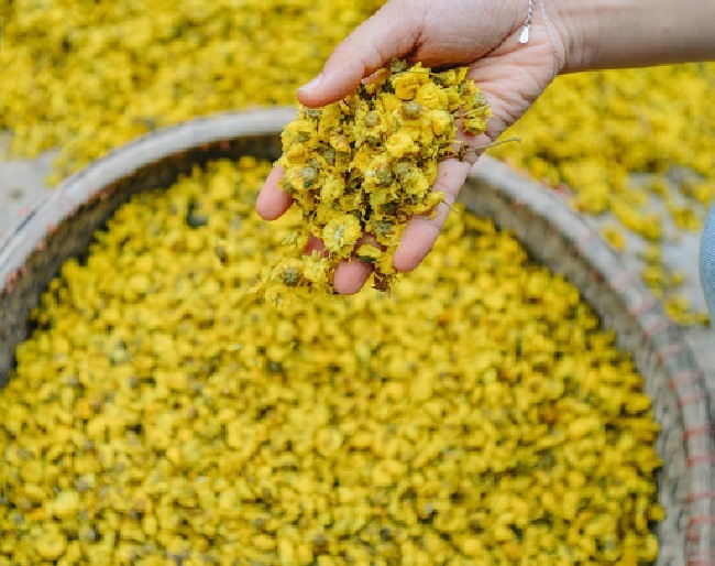 Bông hoa bé bằng cúc áo dùng làm thuốc, pha trà có giá bán tới 800.000 đồng/kg-6