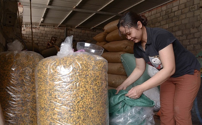 Bông hoa bé bằng cúc áo dùng làm thuốc, pha trà có giá bán tới 800.000 đồng/kg-7