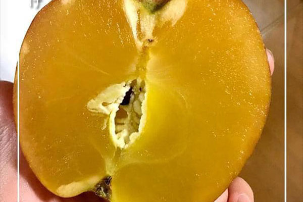 Gia đình 3 thế hệ làm bánh dày: Nửa đêm rầm rập giã, ngày hết 300kg gạo nếp-10