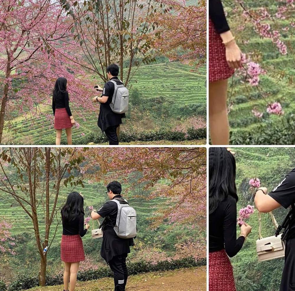 Bức xúc gái xinh rung cây để bạn tạo dáng hoa anh đào đang rơi, còn đăng clip lên mạng cười toe toét-5