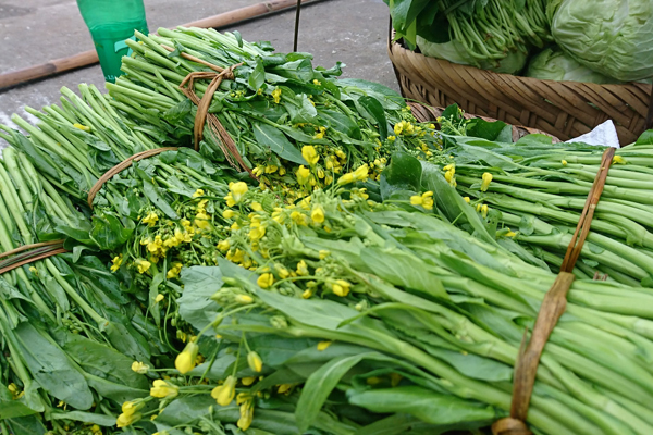 Hoa đu đủ đực: Từng là thứ vứt đi, nay thành hàng hiếm, bán tiền triệu-5