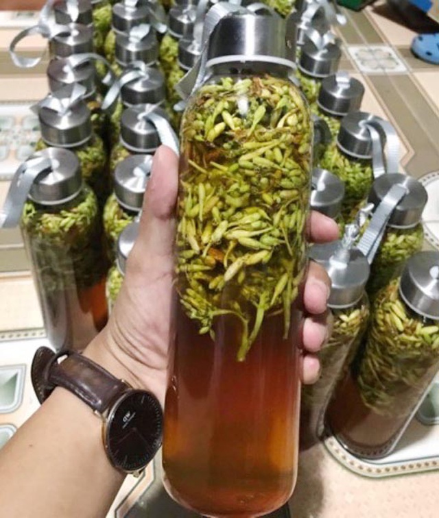 Hoa đu đủ đực: Từng là thứ vứt đi, nay thành hàng hiếm, bán tiền triệu-3